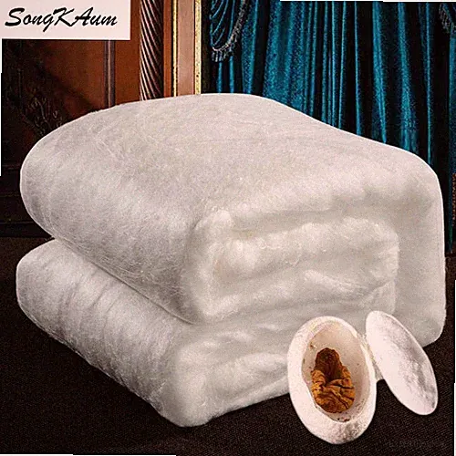 luxury 100% Natural silk Quilt Duvets customizable Winter Keep warm Comforters