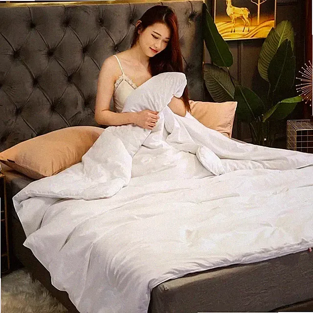 Silk Quilt Winter Autumn Warm 100% Silk Duvet Core Jacquard Cotton Comforter